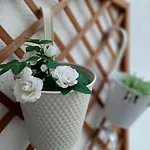 Bougainvillea Views - μπουκαμβίλια θέα Apartmán *